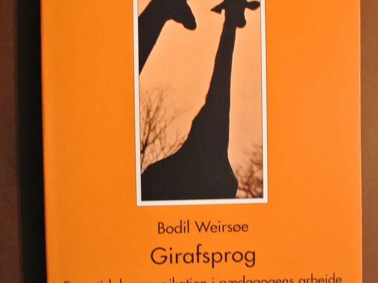 Billede 1 - girafsprog - empatisk kommunkation i pædagogens ar