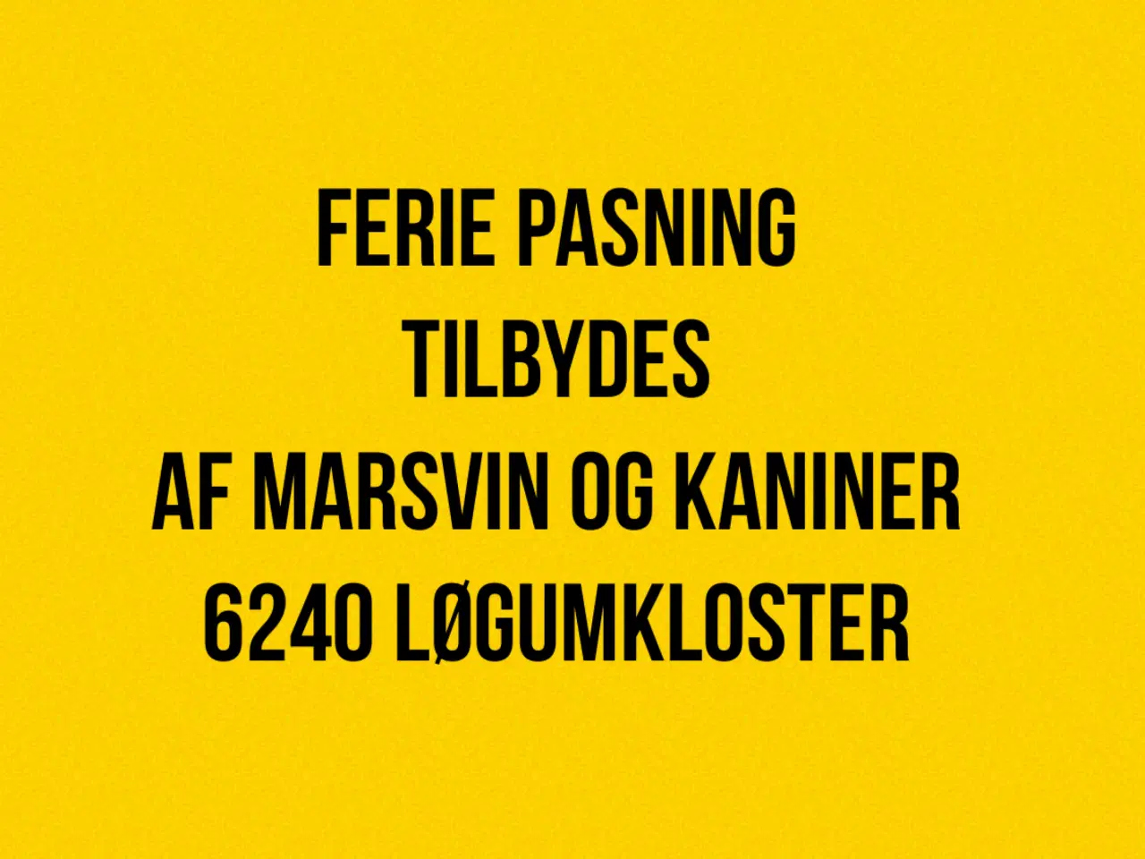 Billede 1 - Ferie pasning af kaniner og marsvin tilbydes 