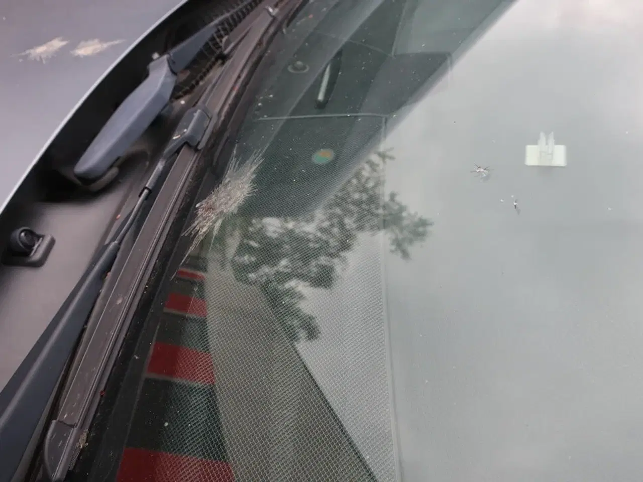 Billede 28 - Personbil MERCEDES E220 Bluetec diesel (momsfri)