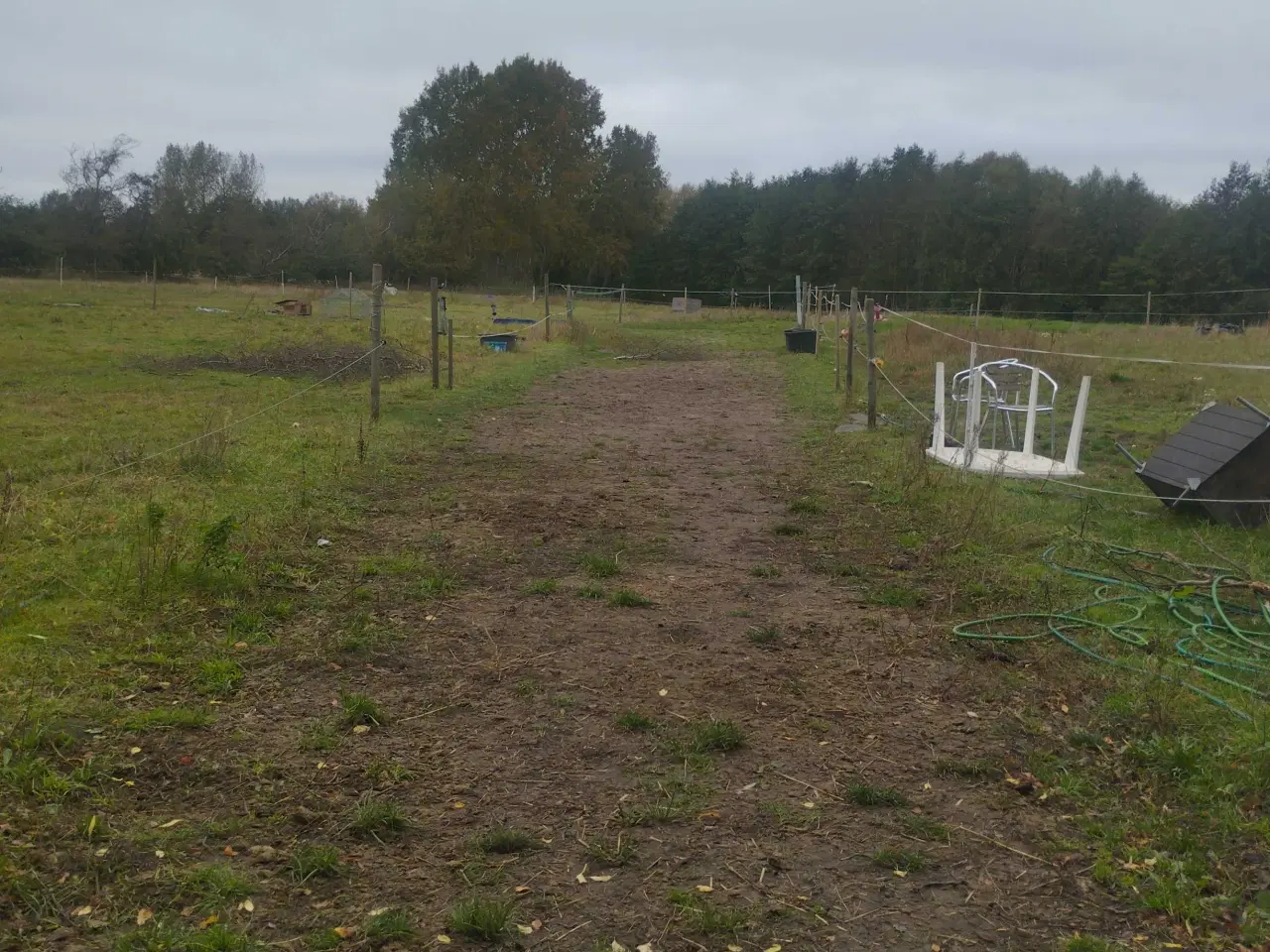 Billede 1 - Tilbyder pasning i landlige omgivelser