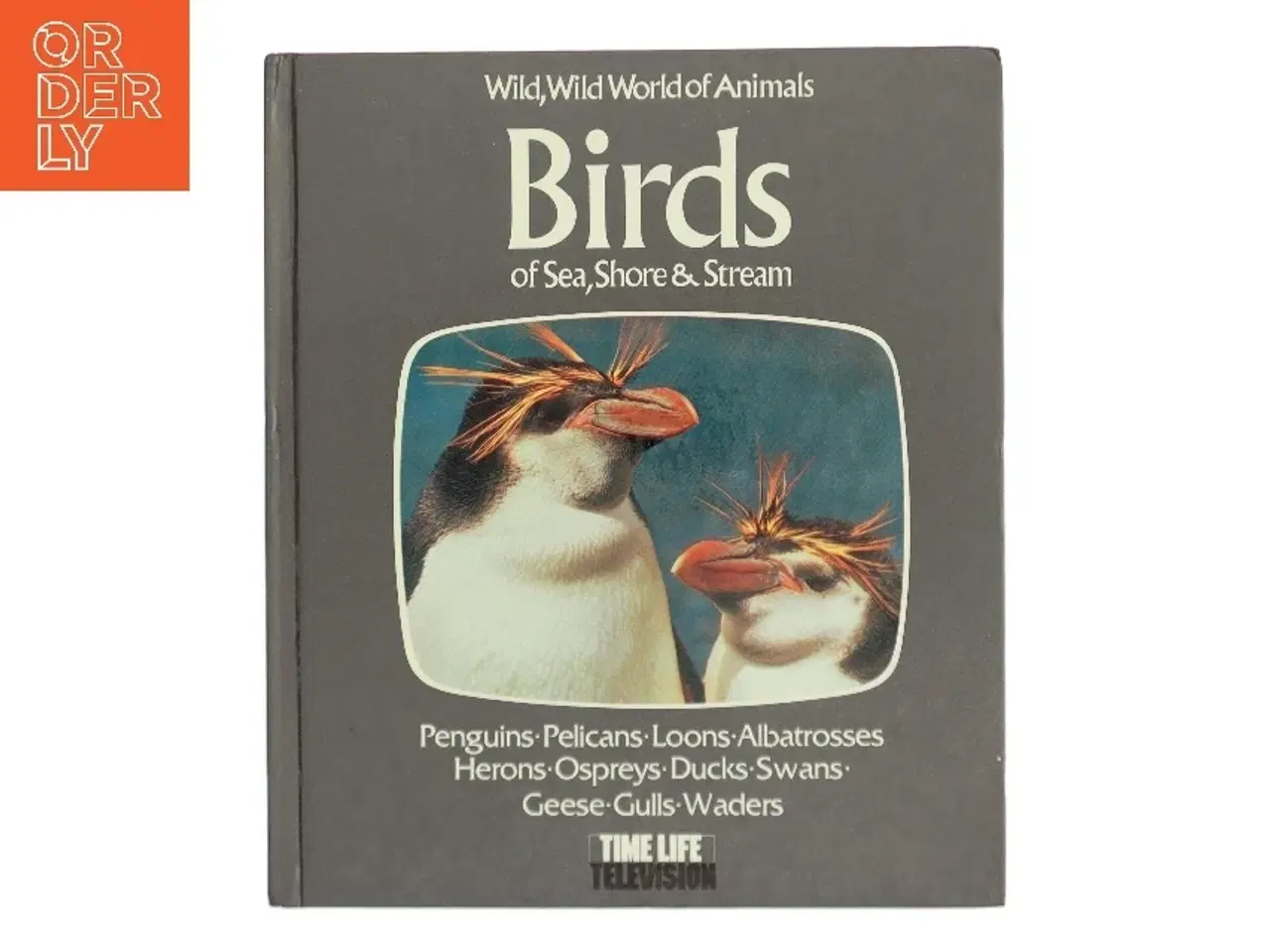 Billede 1 - Birds of Sea, Shore & Stream (Bog)