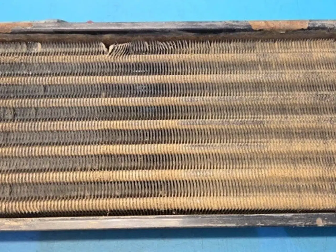 Billede 14 - Massey Ferguson 6260 Køler 3780458M1