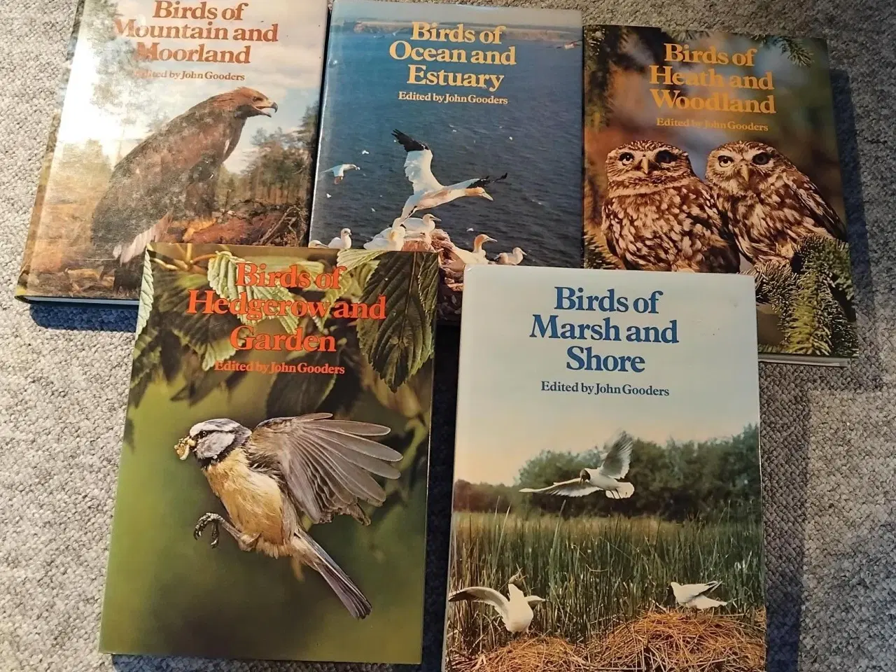 Billede 1 - Orbis Encyclopedia of Birds of Britain and Europe