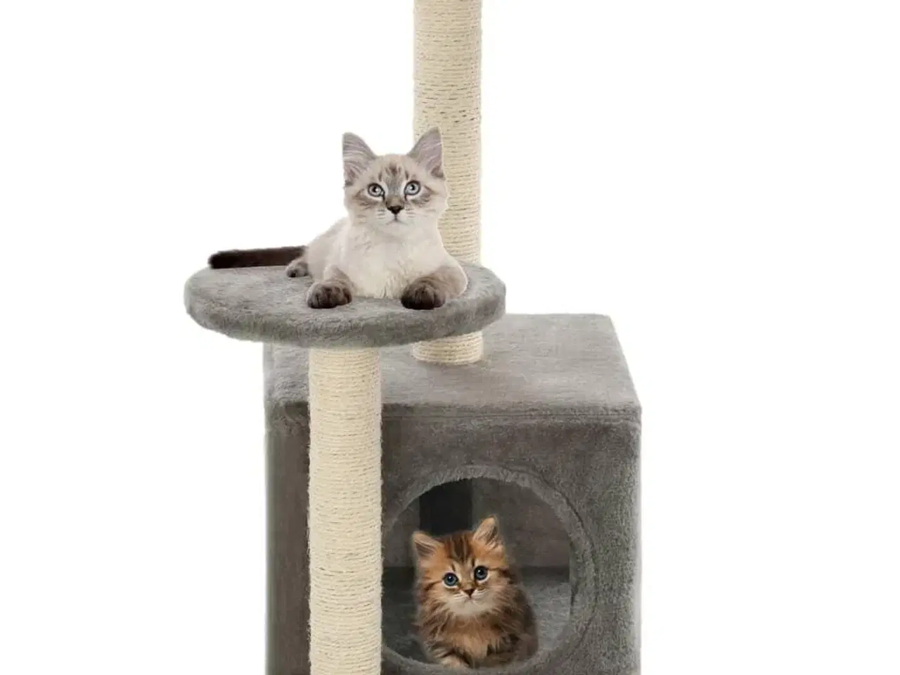 Billede 1 - Kradsetræ til katte med sisal-kradsestolper 60 cm grå