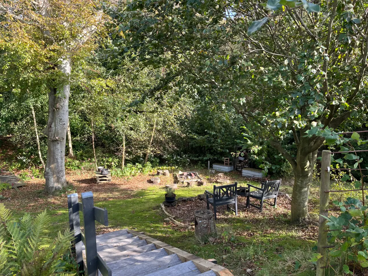 Billede 6 - Det fineste sommerhus tæt på strand