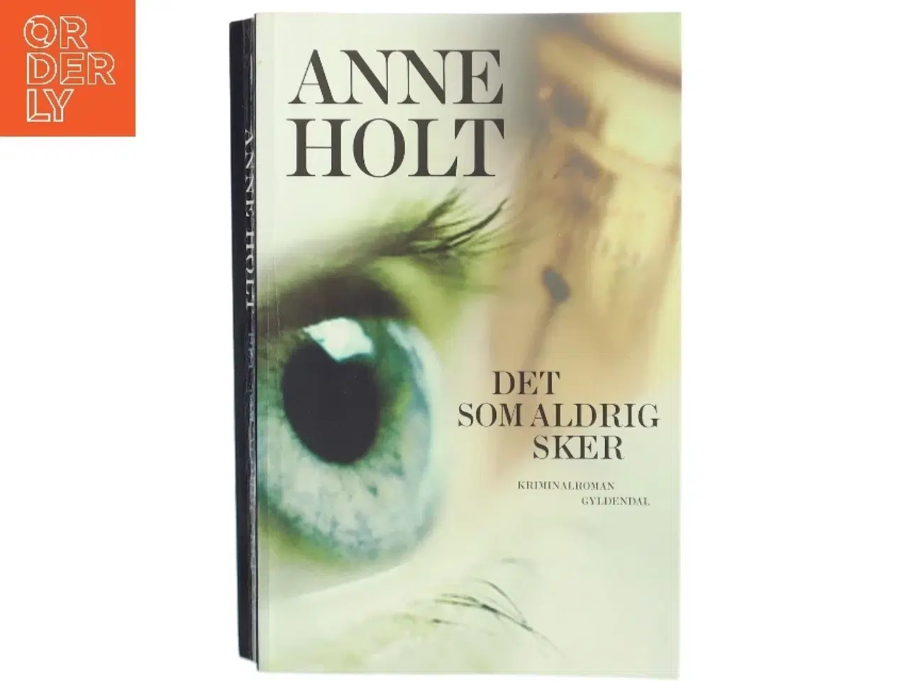 Billede 1 - Det som aldrig sker af Anne Holt (f. 1958-11-16) (Bog) fra Gyldendal