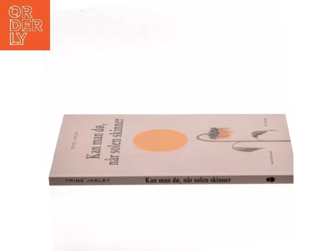 Billede 2 - Kan man dø, når solen skinner af Trine Jarlby (Bog)