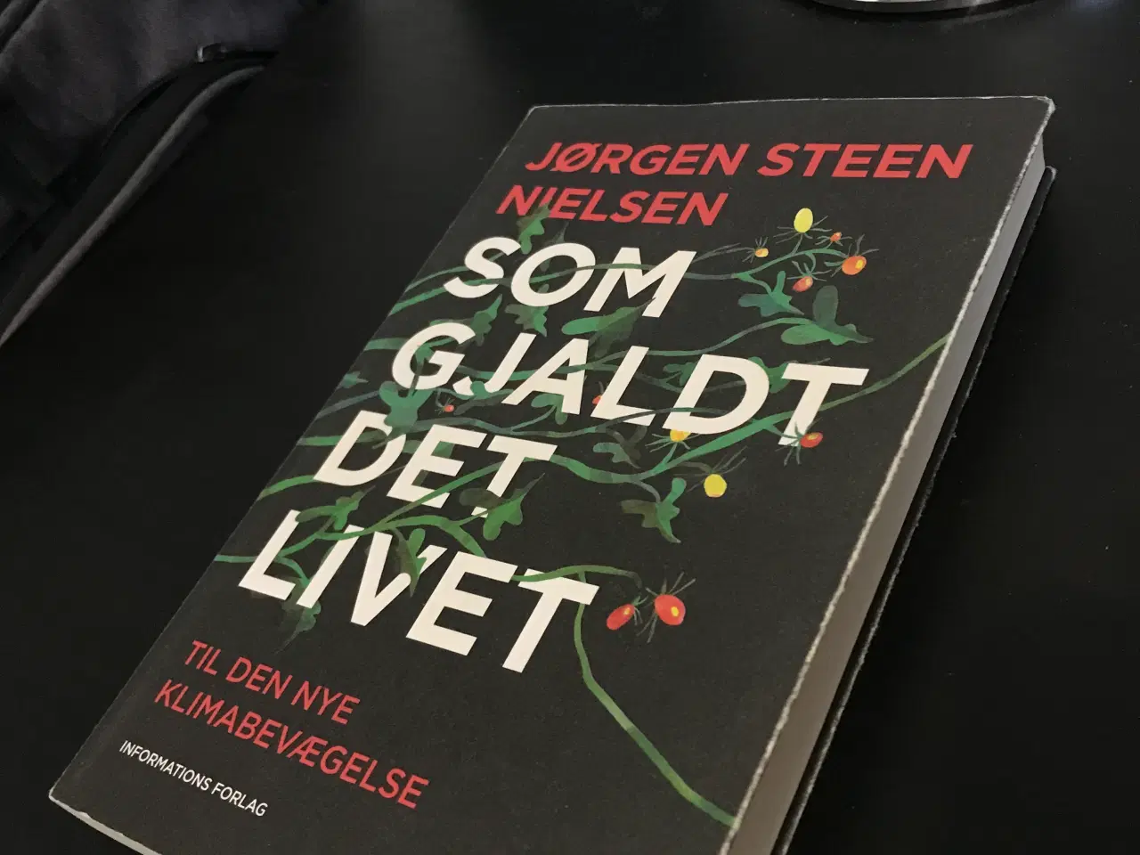 Billede 1 - Som Gjaldt Det Livet - Til Den Nye Klimabevægelse