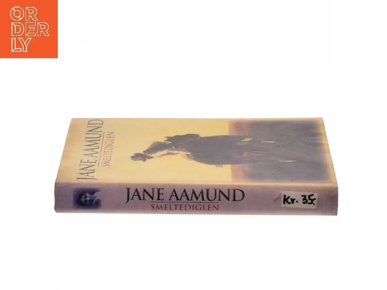 Billede 2 - Smeltediglen : andet bind i slægtskrøniken om de dansk-argentinske indvandrere : roman af Jane Aamund (Bog)