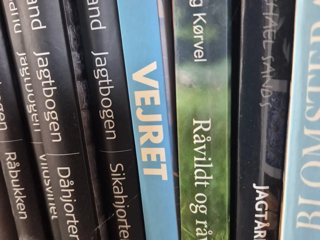 Billede 2 - Michael sand jagtbøger