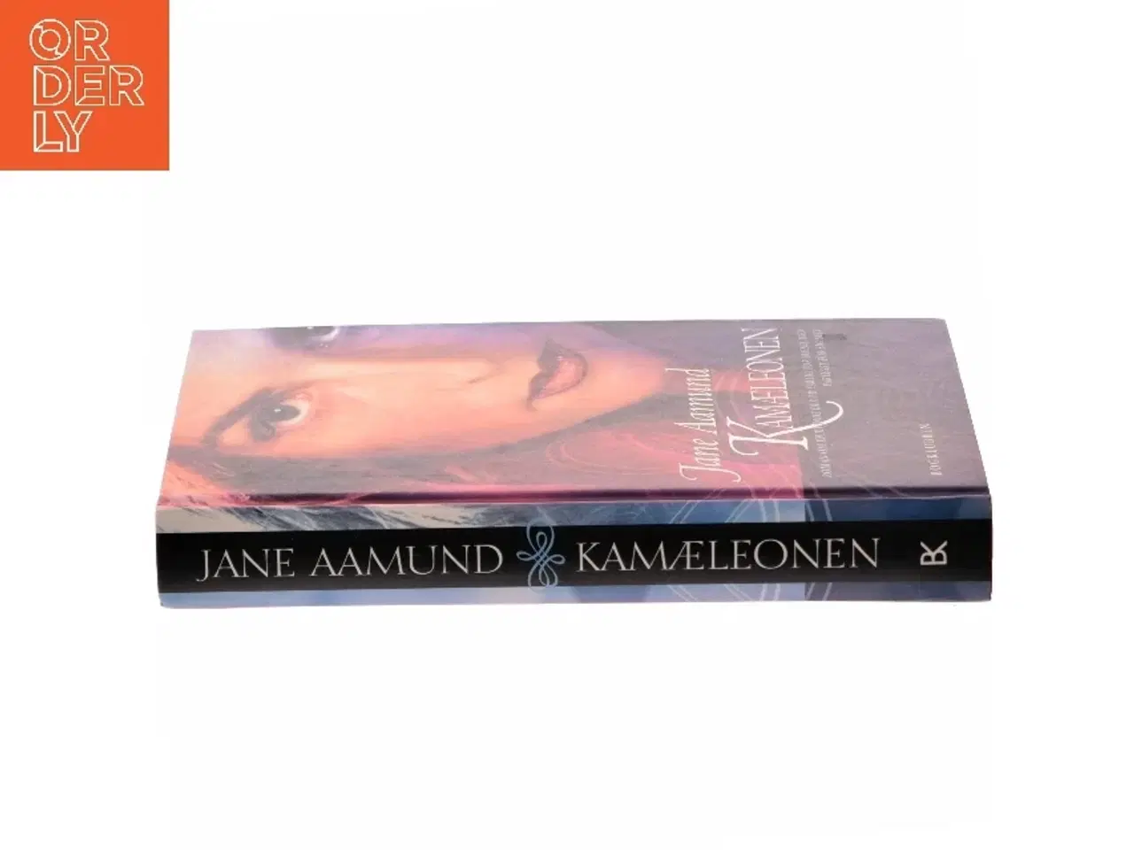Billede 2 - Kamæleonen af Jane Aamund (Bog)