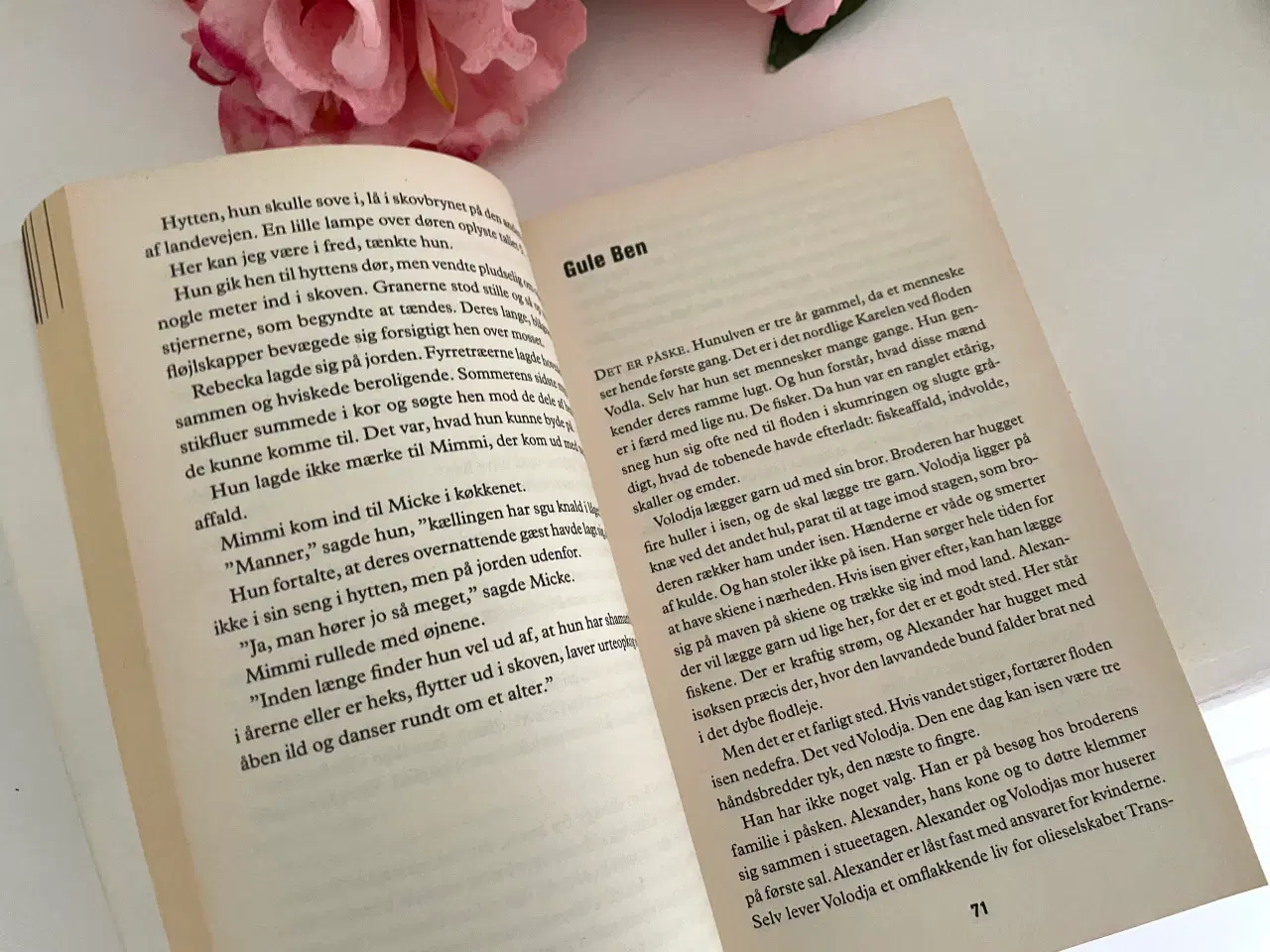 Billede 3 - Blodskyld