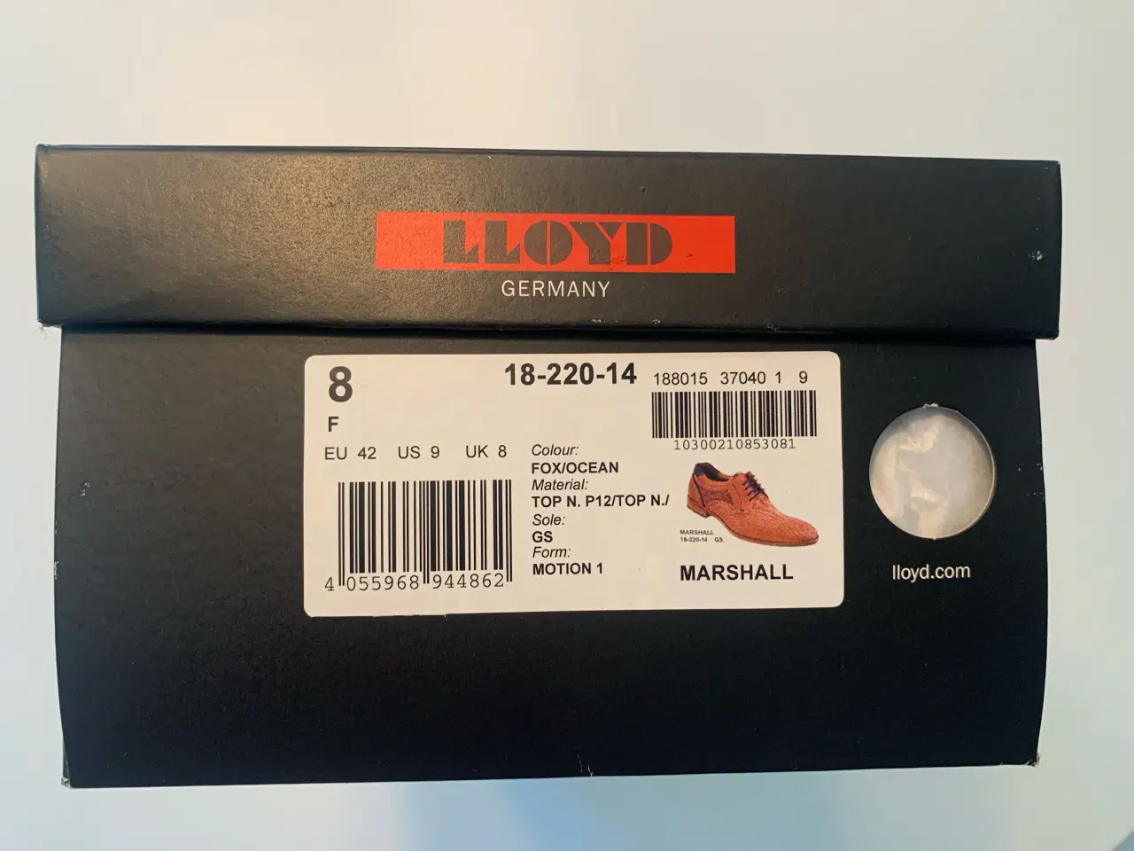 Billede 5 - Lloyd Motion