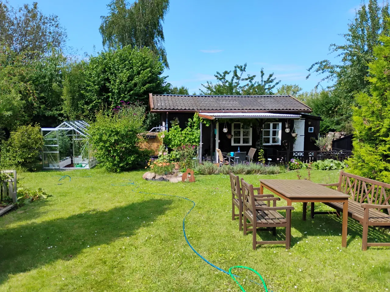 Billede 16 - Dejlig kolonihave