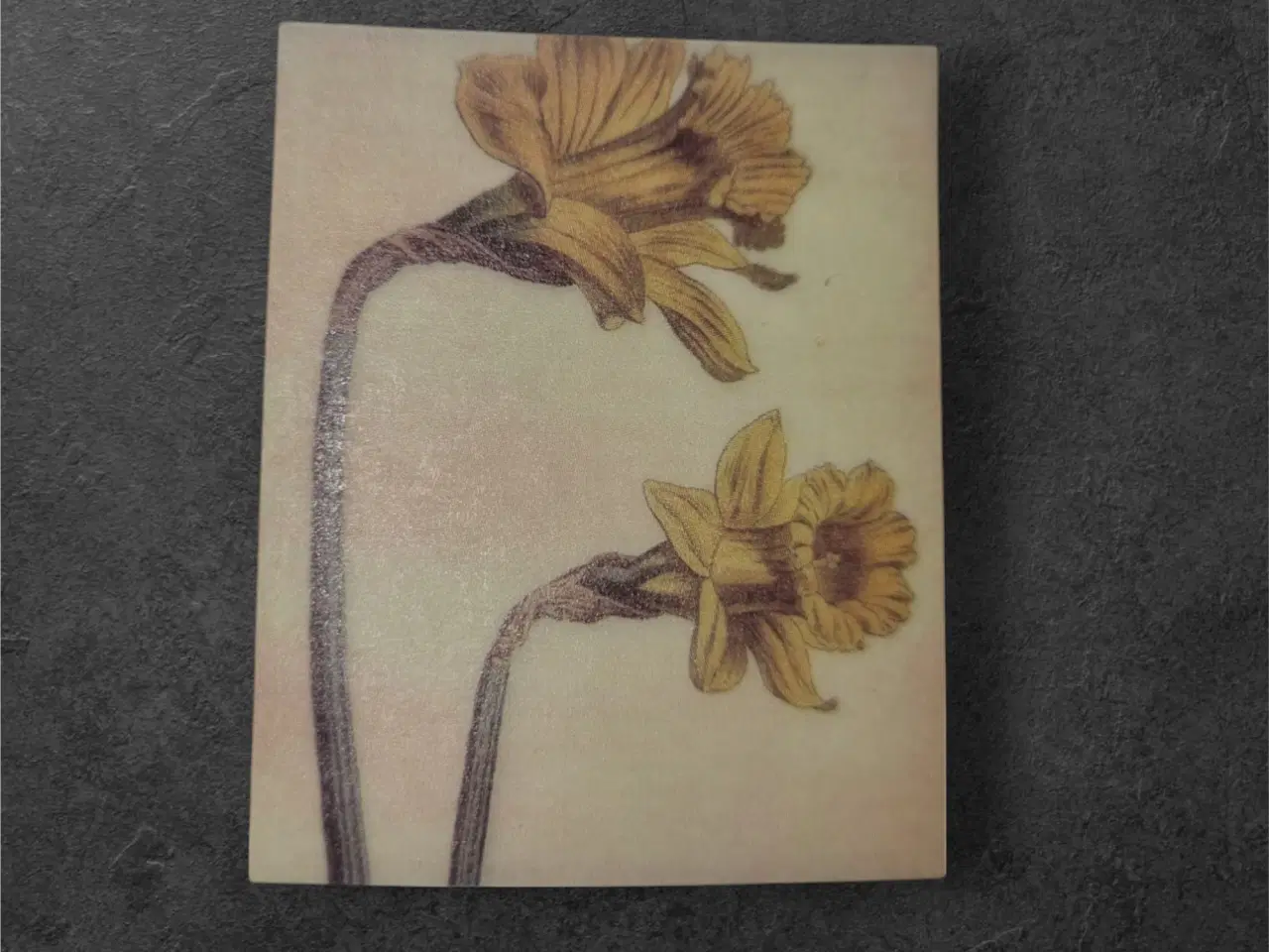 Billede 1 - Botanisk mini-tryk: Daffodil Delight i forårsglød