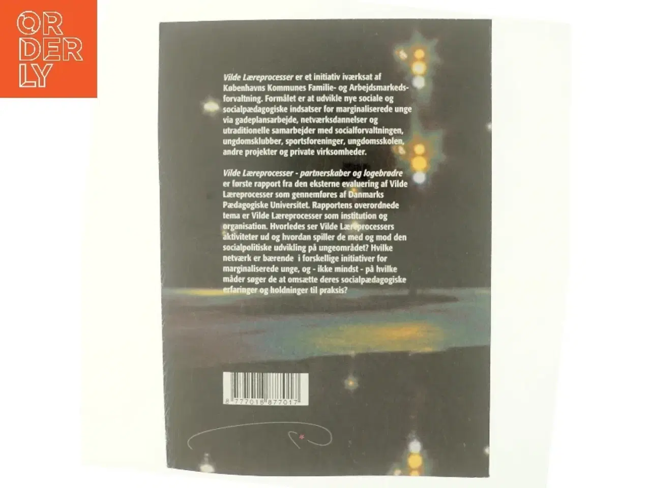 Billede 3 - Vilde læreprocesser - partnerskaber og logebrødre