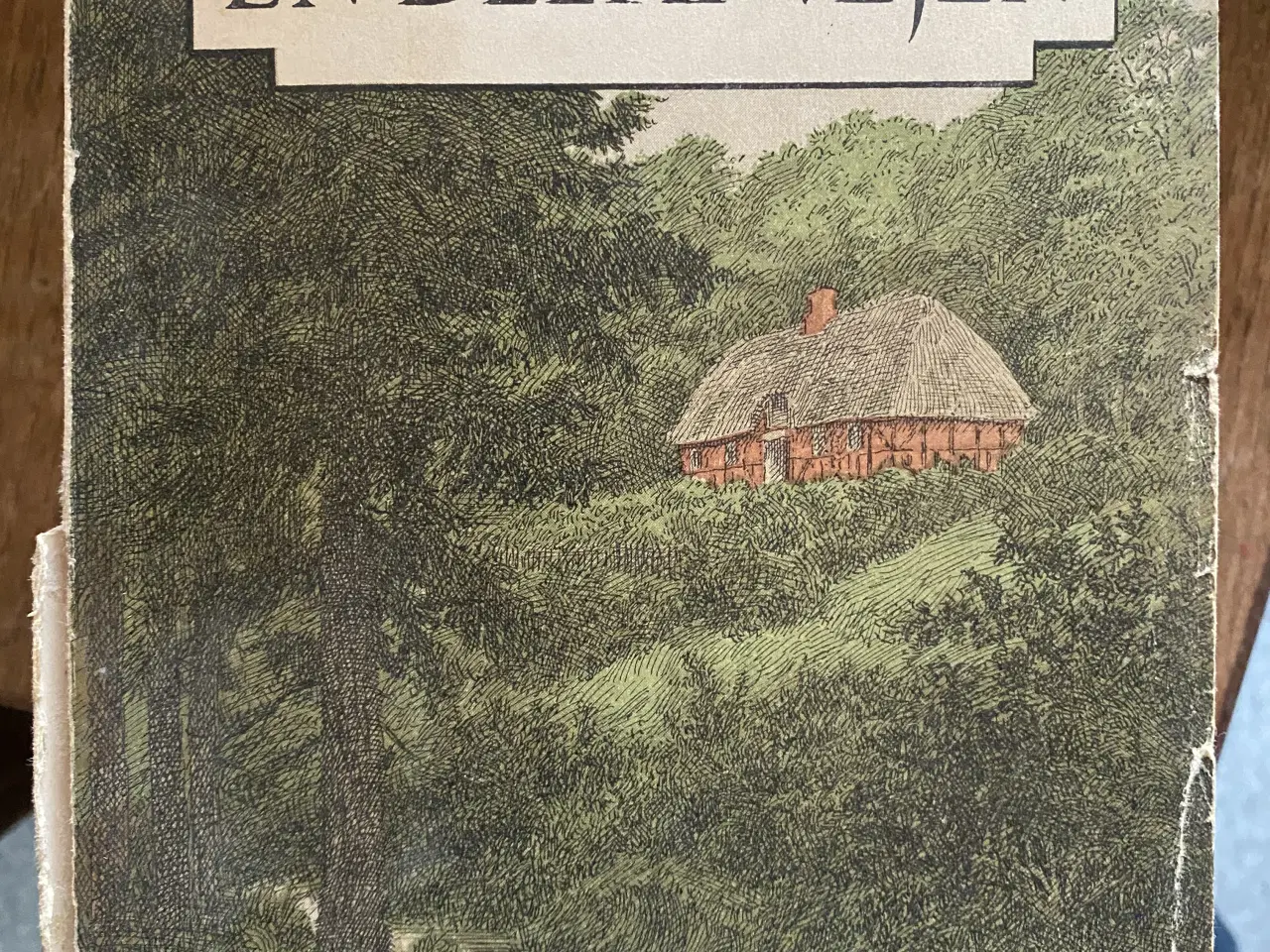 Billede 6 - Lars Nielsen 