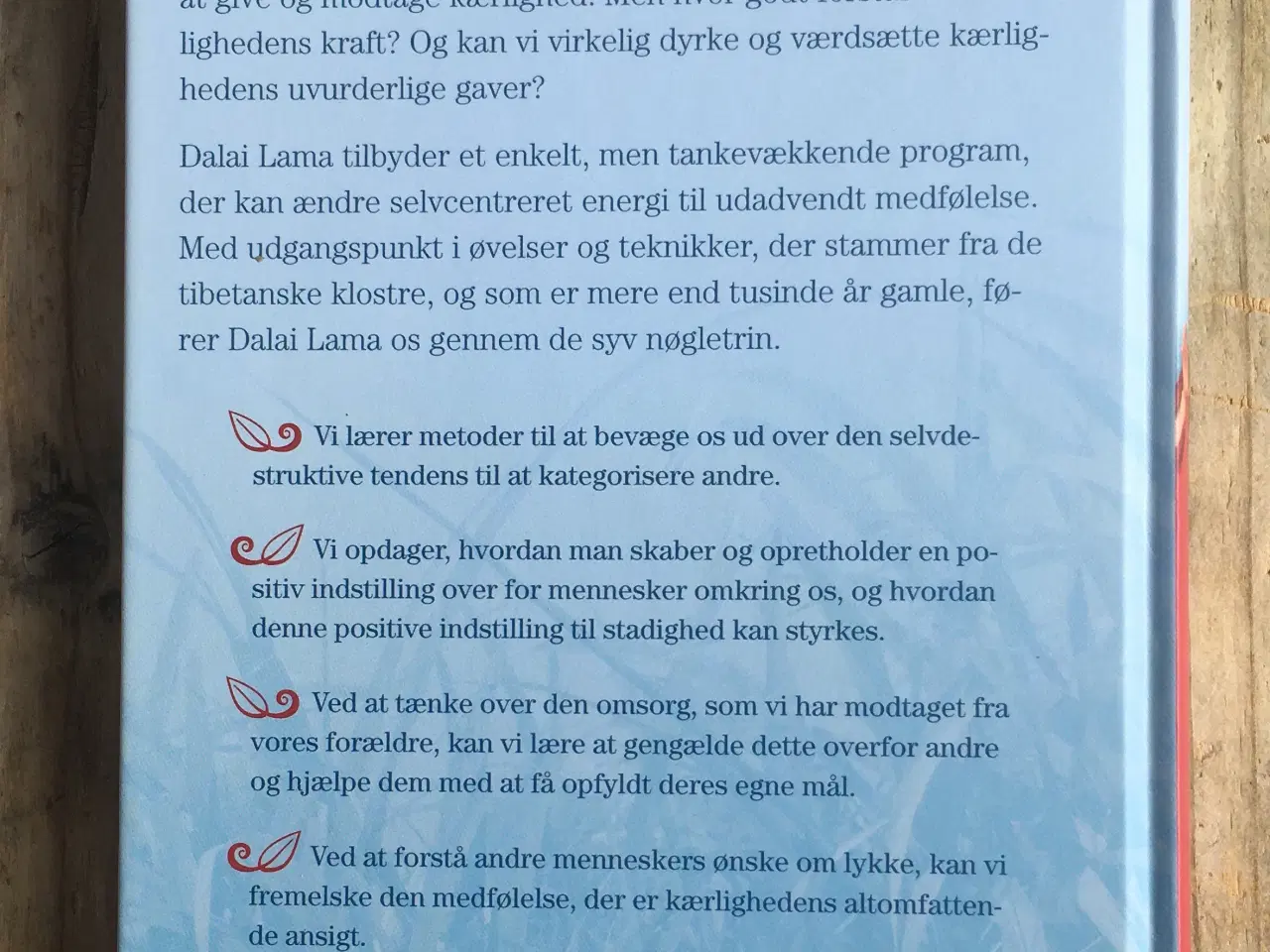 Billede 2 - Giv kærlighed og få mere af den, Dalai Lama