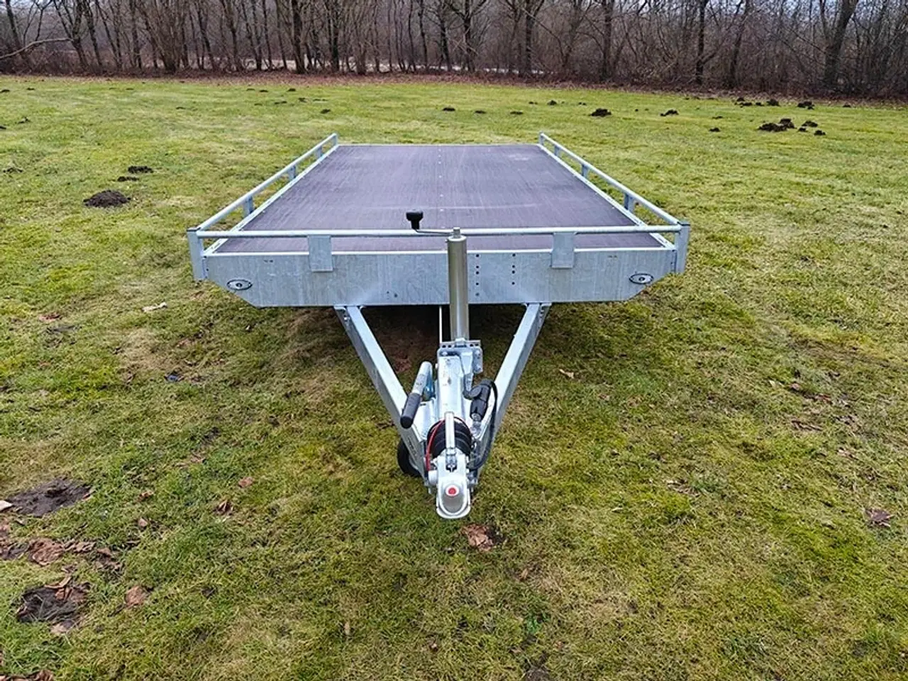 Billede 3 - Eduard trailer 4020-3000 Multi - Reiling