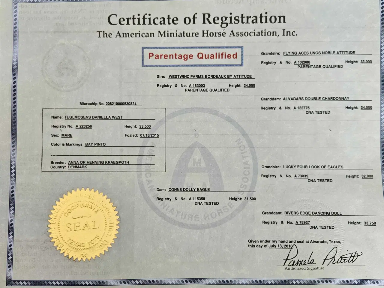 Billede 8 - Kåret AMHA Hoppe 