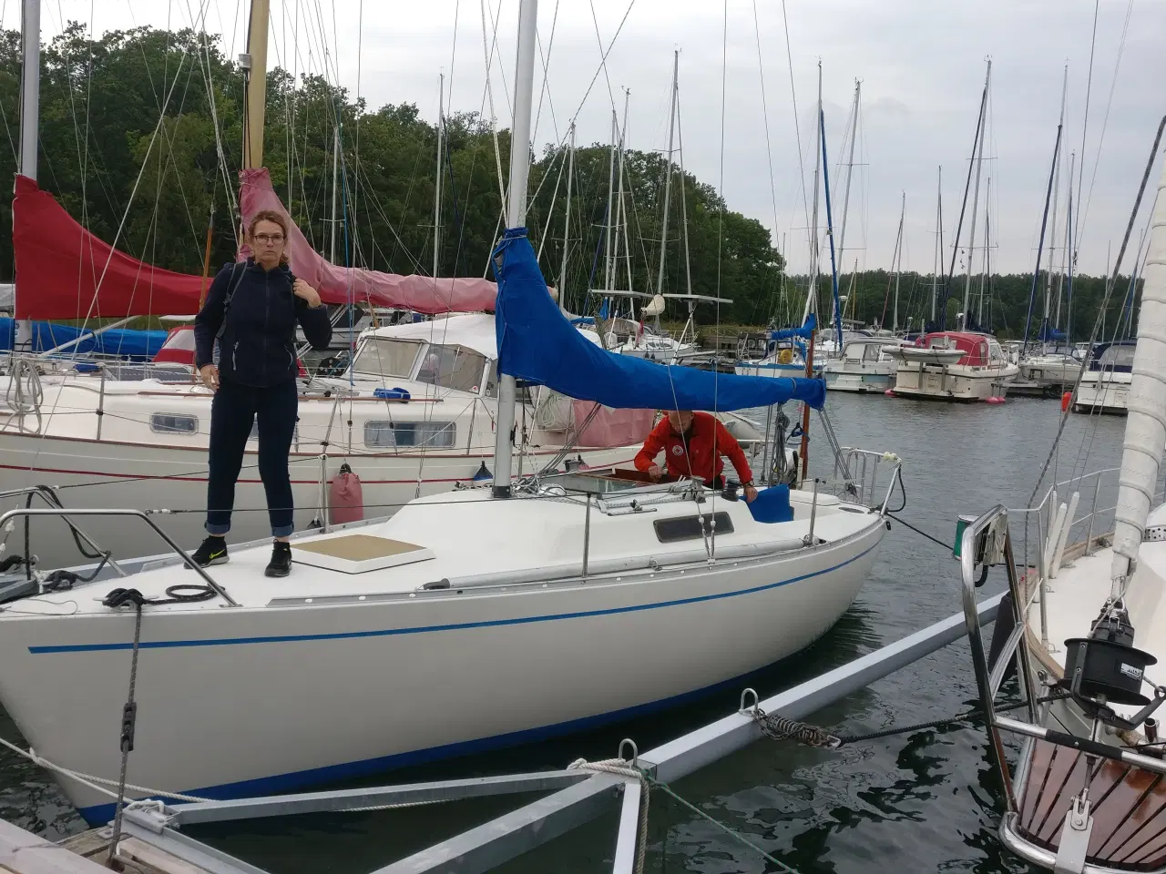 Billede 3 - Albin Express, 26 fod