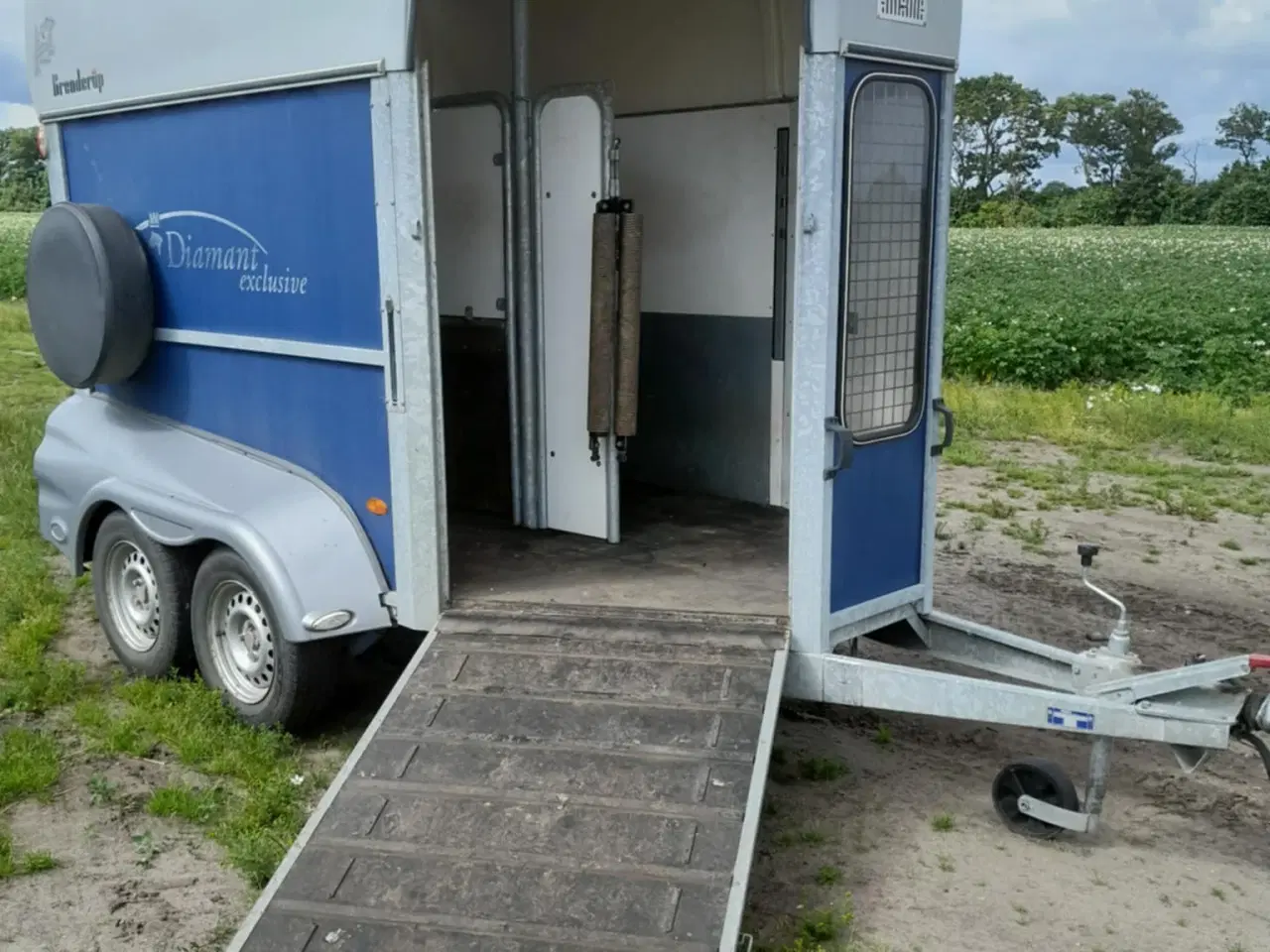 Billede 2 - Velholdt Brenderup hestetrailer