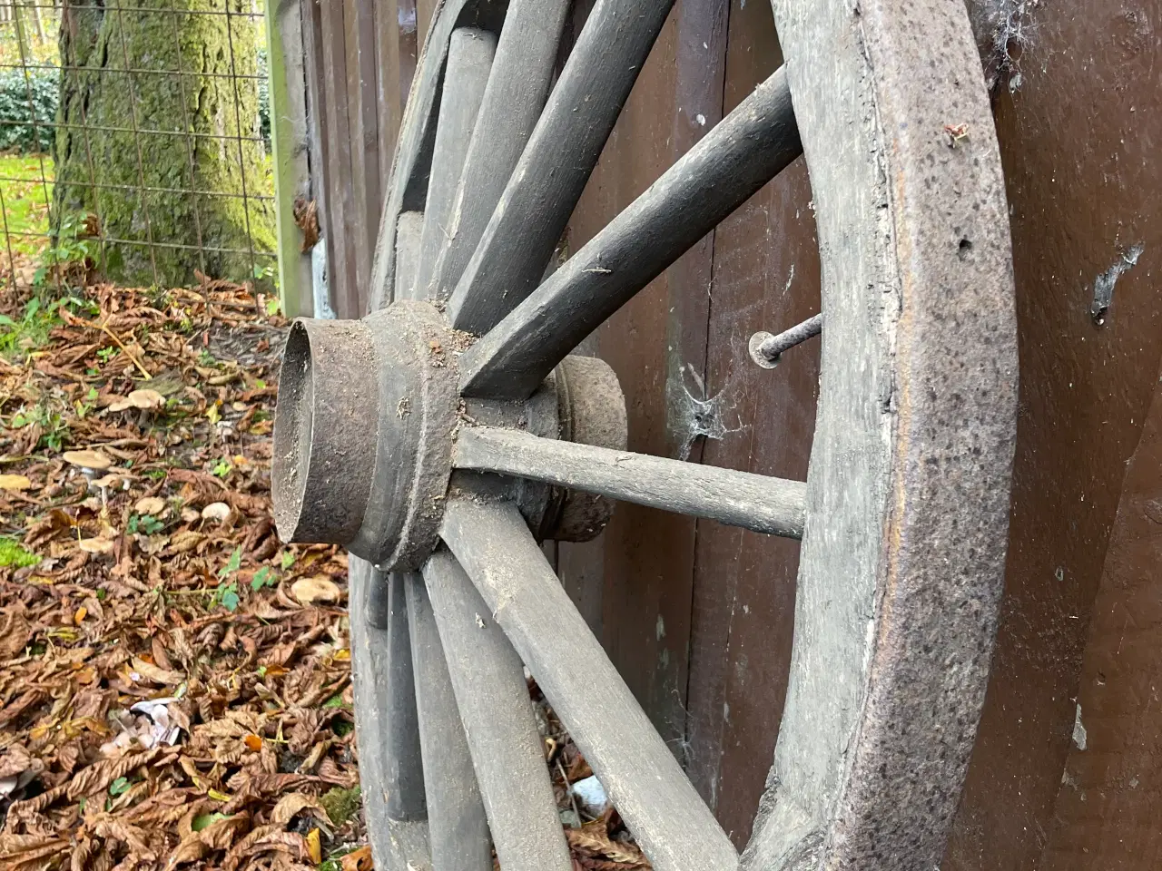 Billede 2 - Gamle vogn hjul