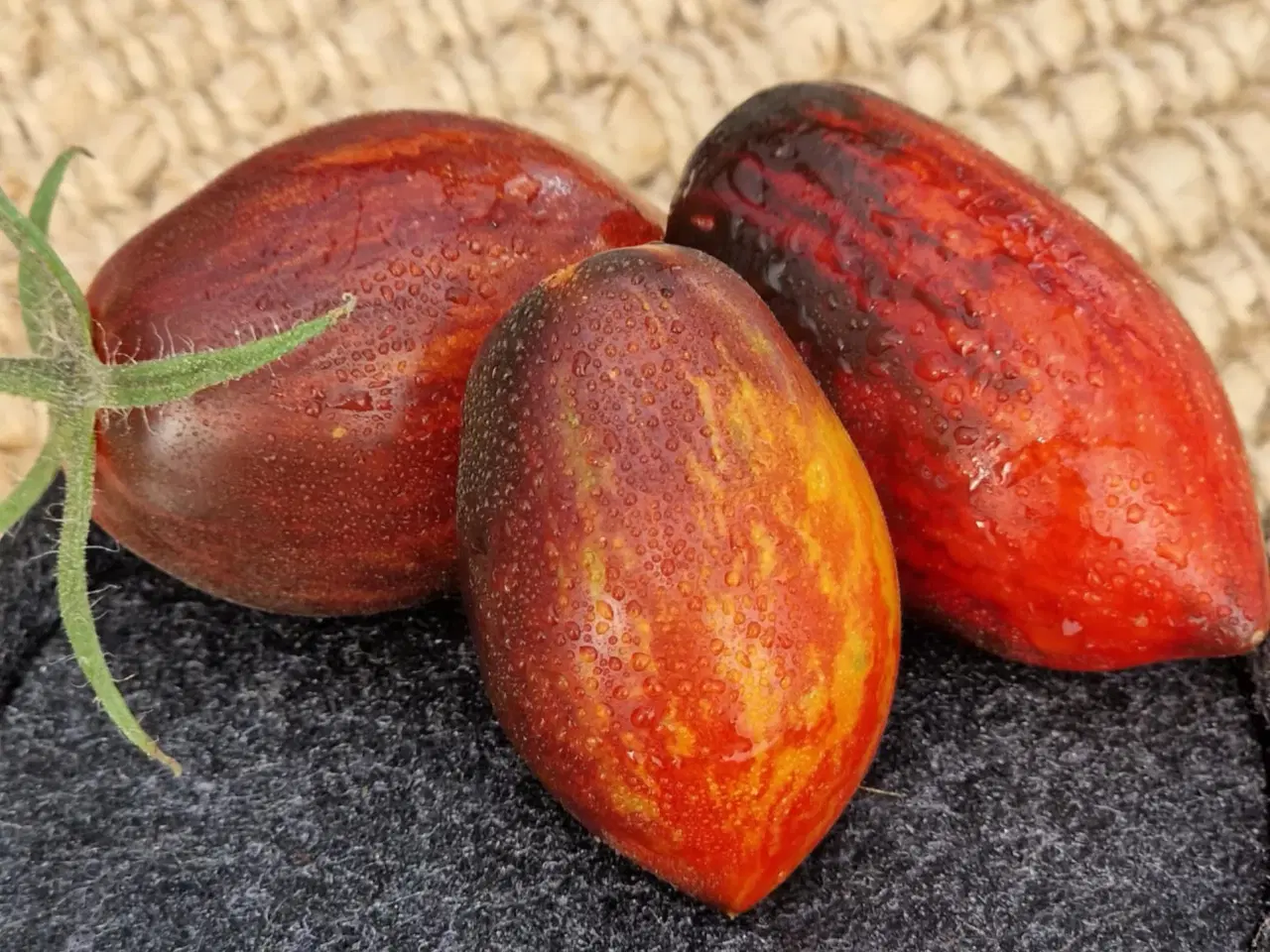 Billede 11 - Tomatfrø - 300 sorter!!!