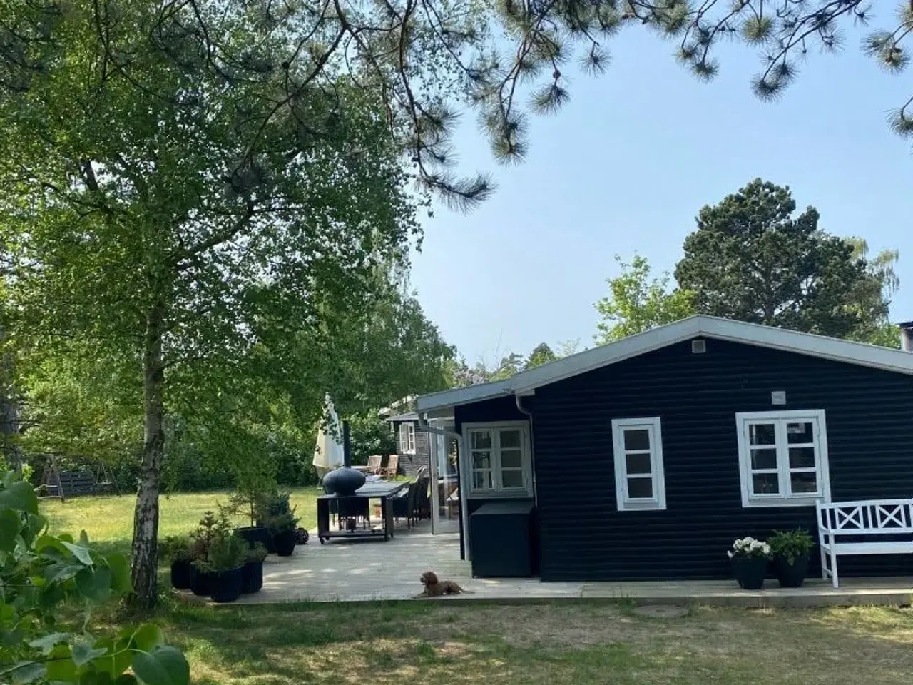 Billede 5 - Sk�nt attraktivt tr�sommerhus ved Ordrup N�s , F�revejle 50 m til strand