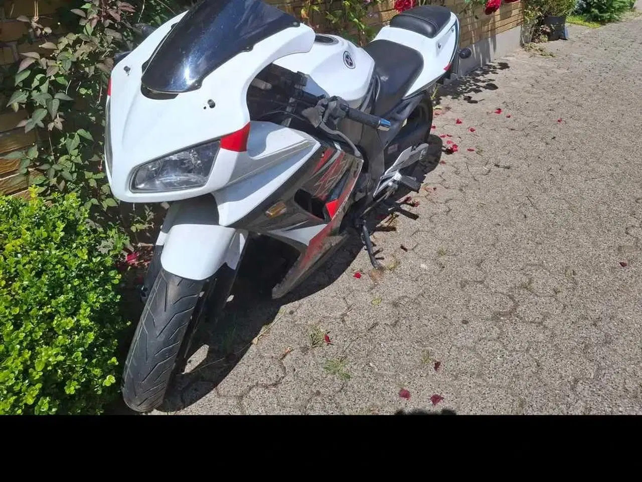 Billede 3 - Shineray XY 125 ccm 