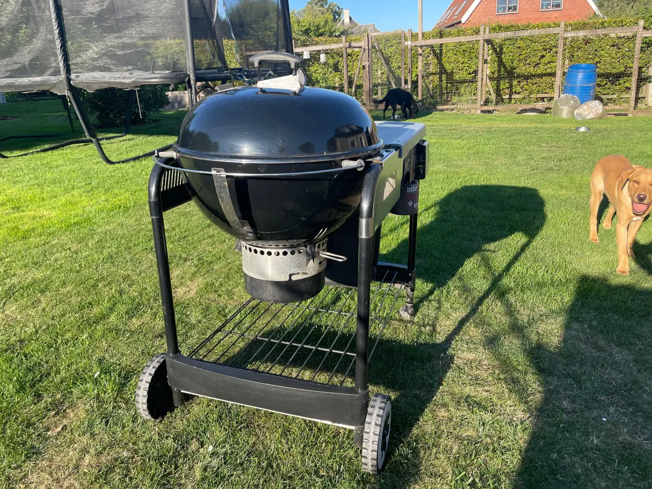 Billede 2 - Weber kugle grill