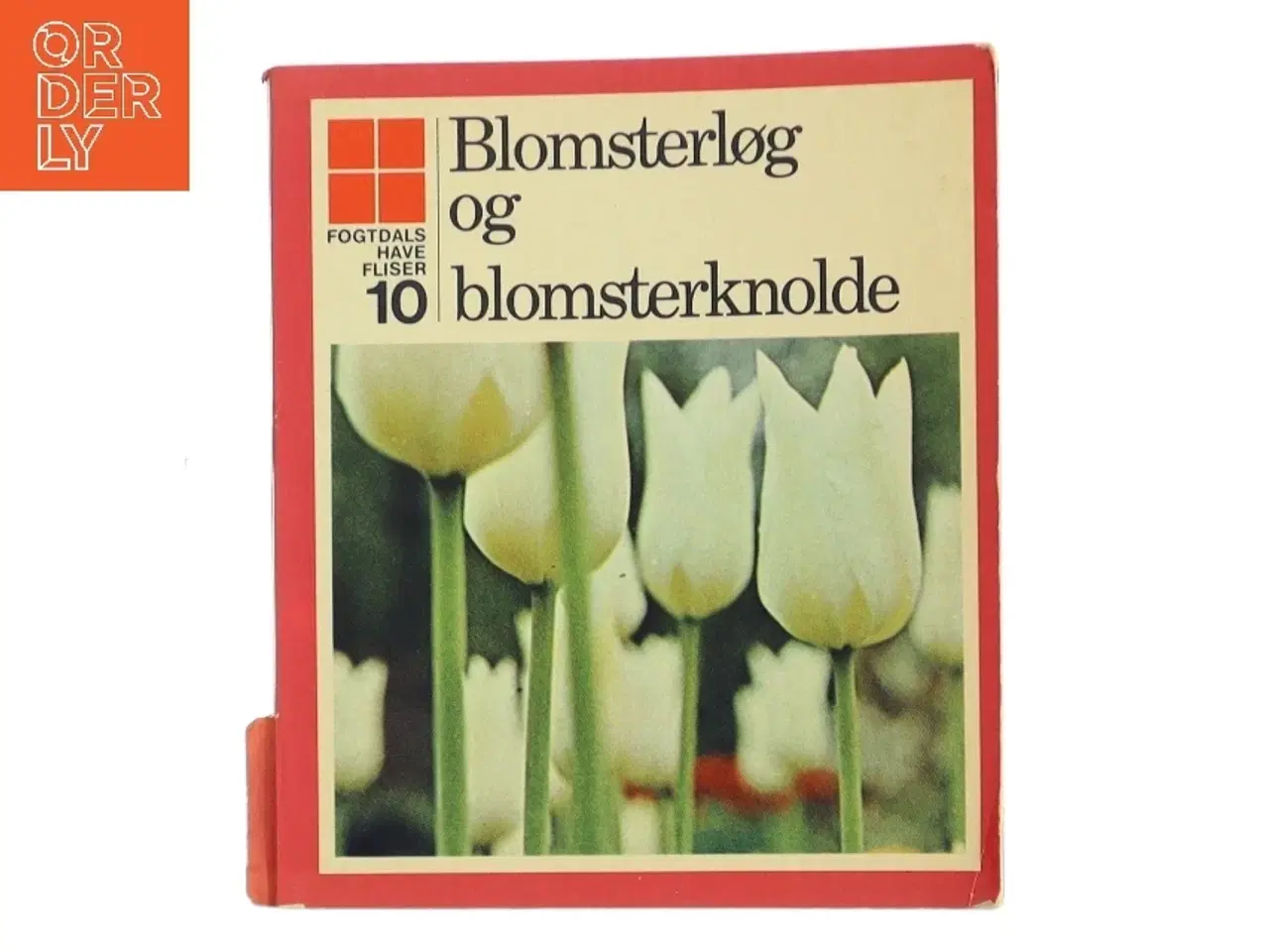 Billede 1 - Blomsterløg og blomsterknolde af Grete Pilgaard (Bog)