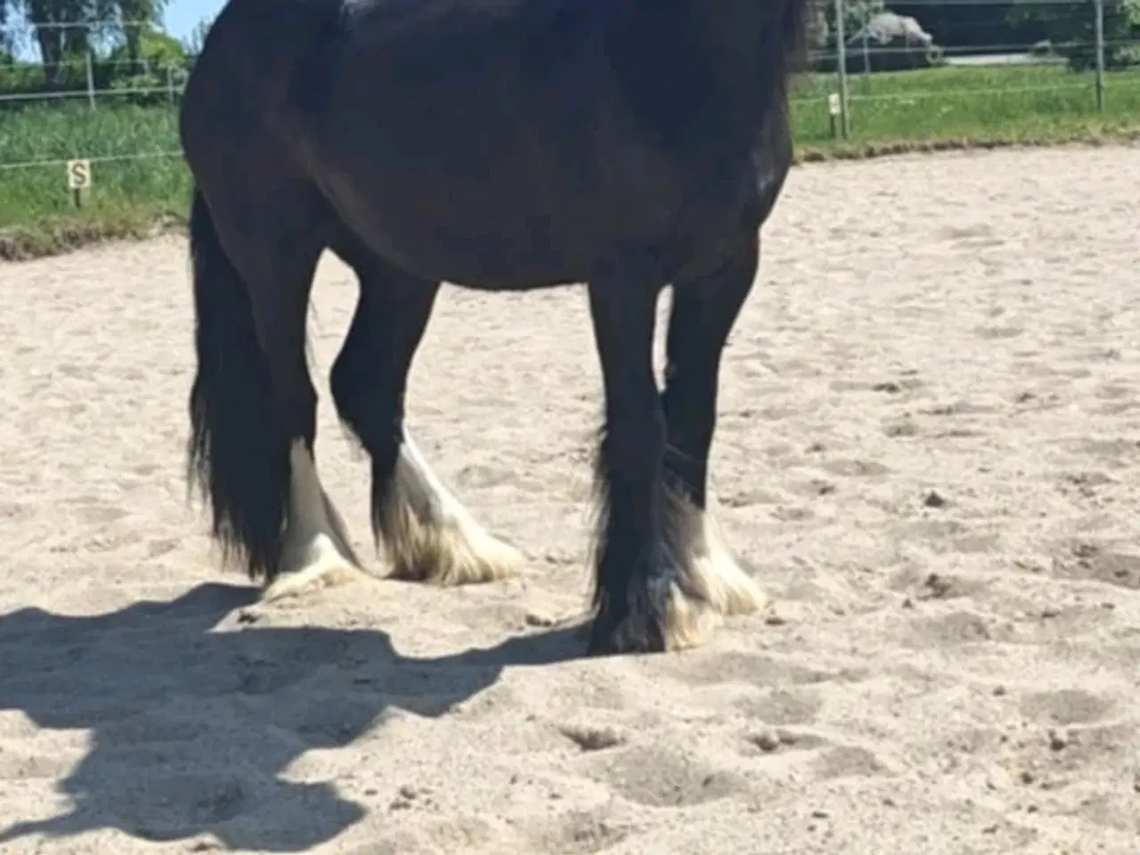 Billede 1 - Tinker hoppe 