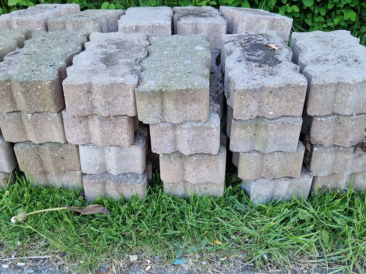 Billede 4 - Gratis små havefliser (2 typer)