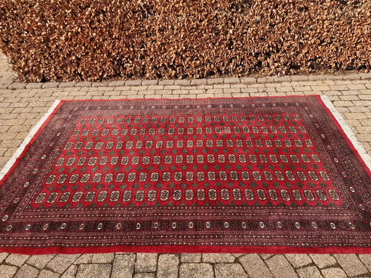 Billede 6 - Ægte Pak-Bochara tæppe.