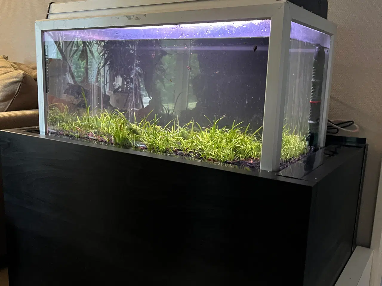 Billede 1 - 120 Liter Akvarie Sælges!