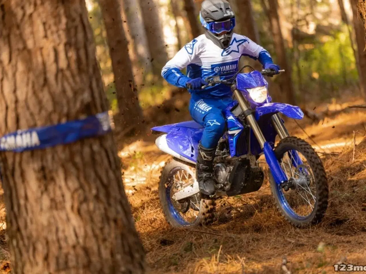 Billede 4 - Yamaha WR 450 F