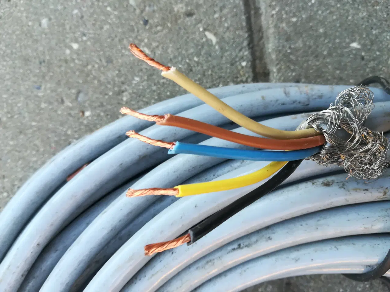 Billede 3 - Kabel med skærm 220 volt