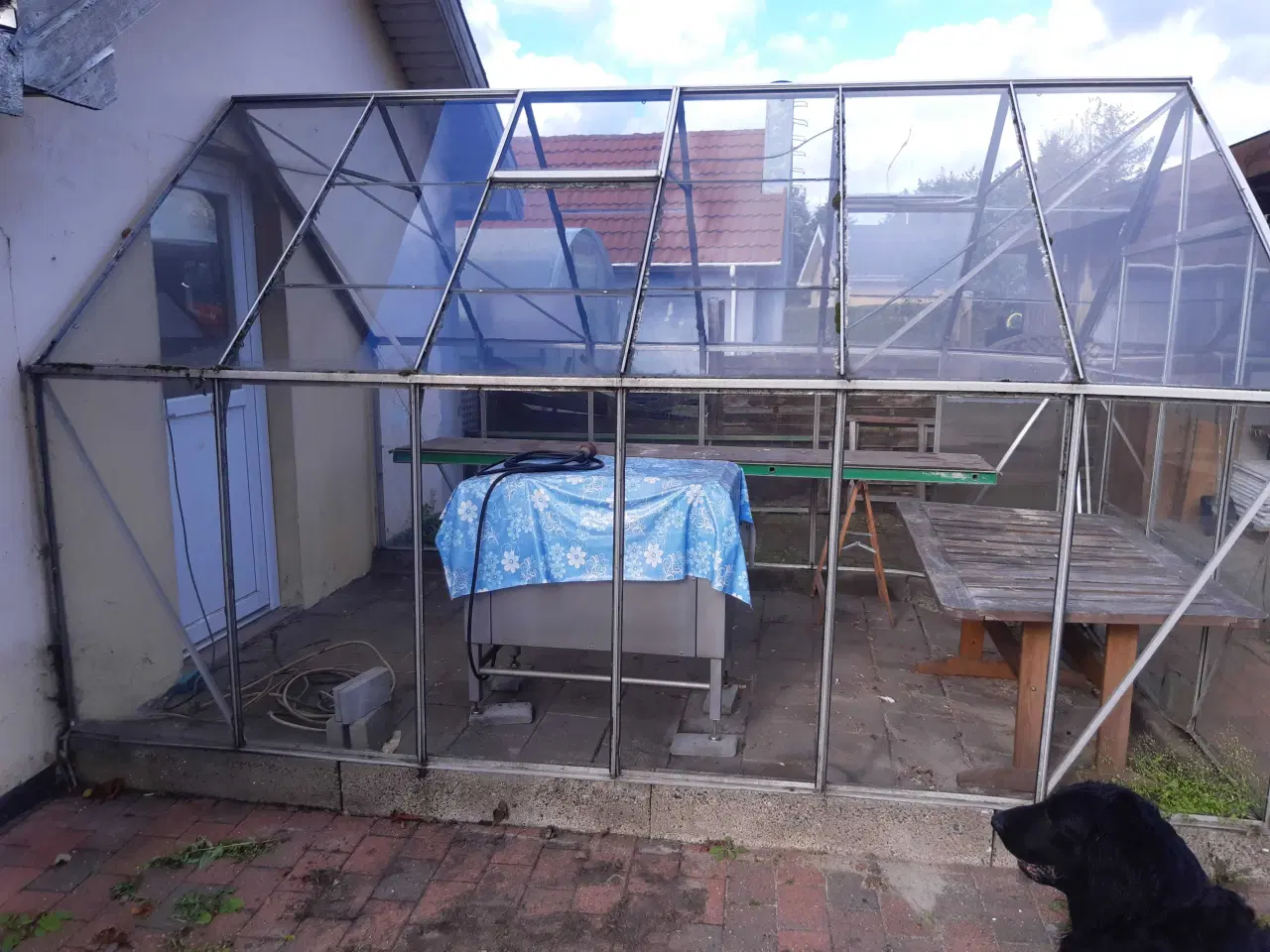 Billede 1 - Drivehus glas