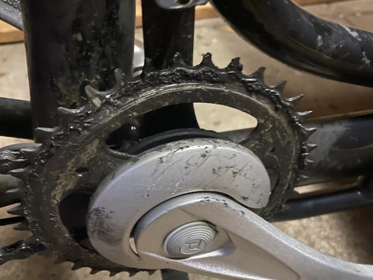 Billede 4 - Cargokid ladcykel