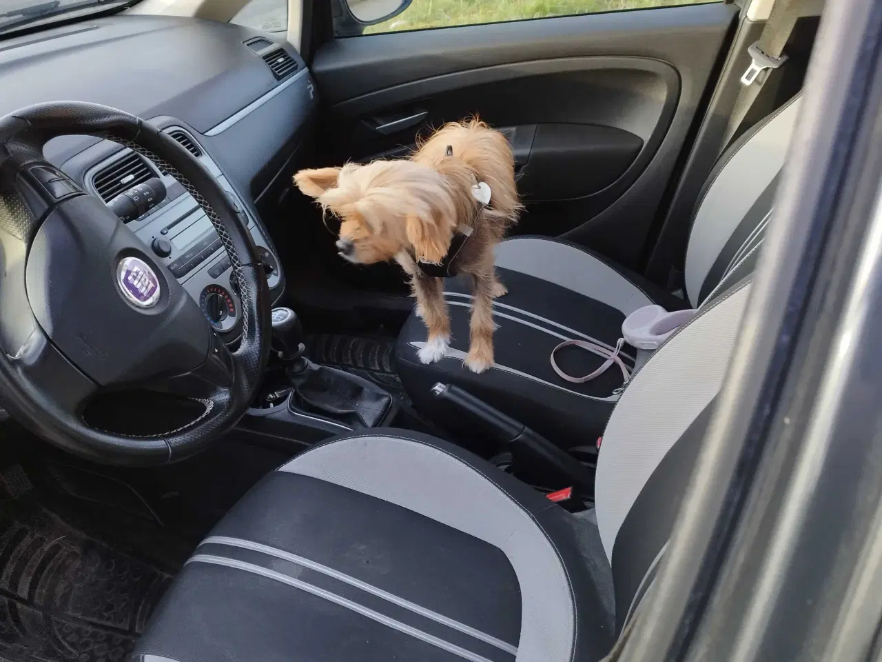 Billede 6 - Fiat Grande punto 