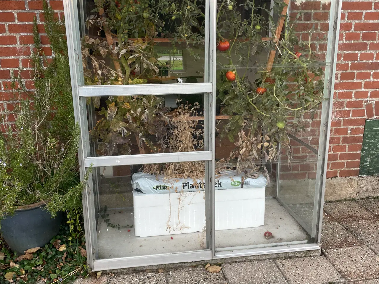 Billede 1 - Vægdrivhus