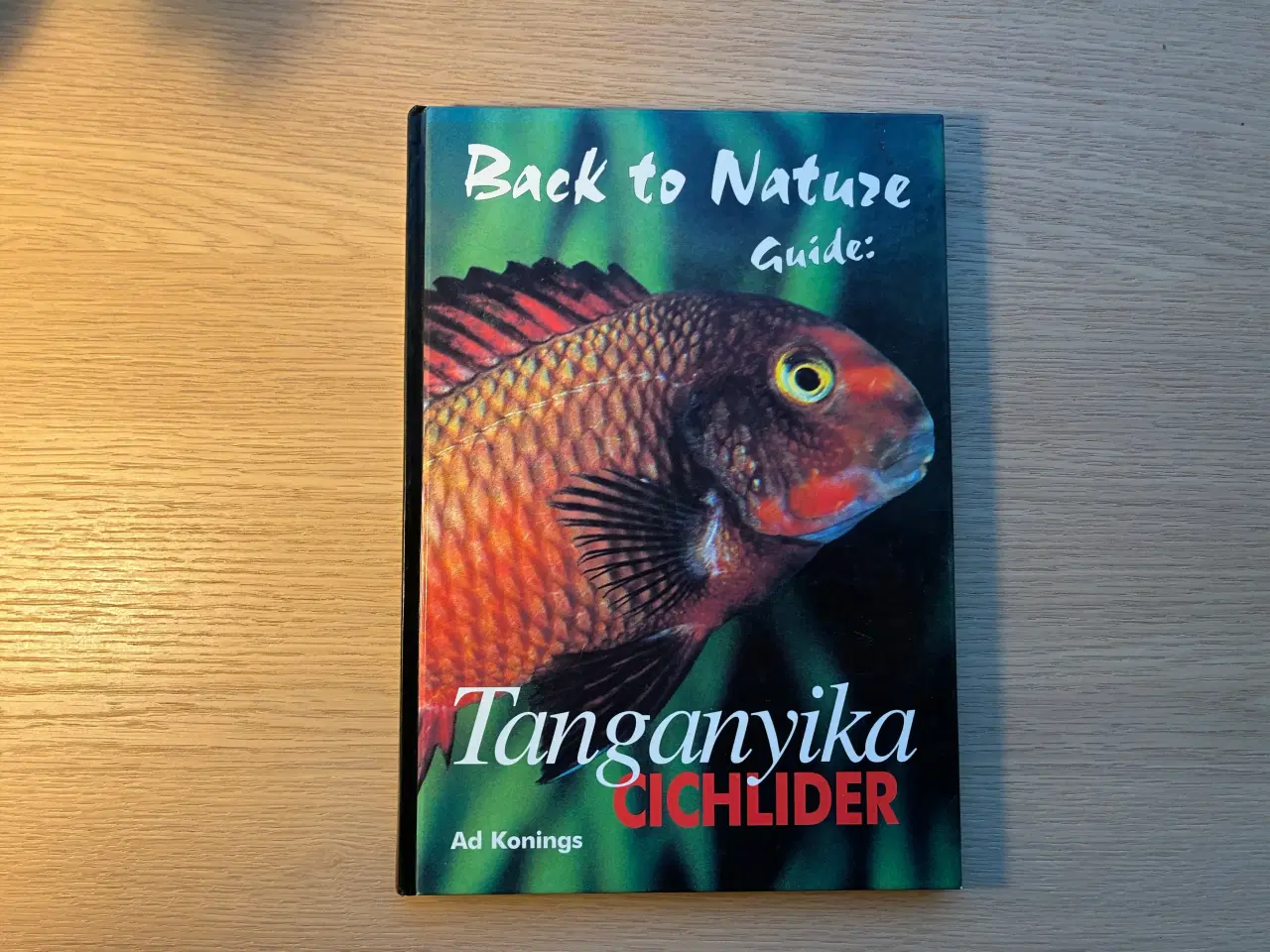 Billede 1 - Tanganyika Cichlider - Back to Nature Guide