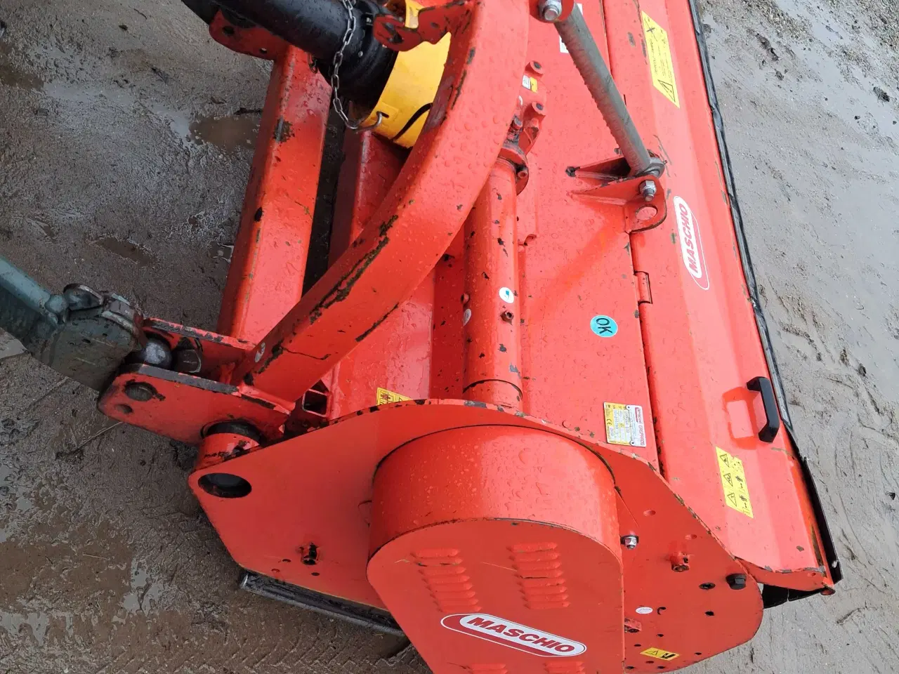 Billede 1 - Maschi slagleklipper