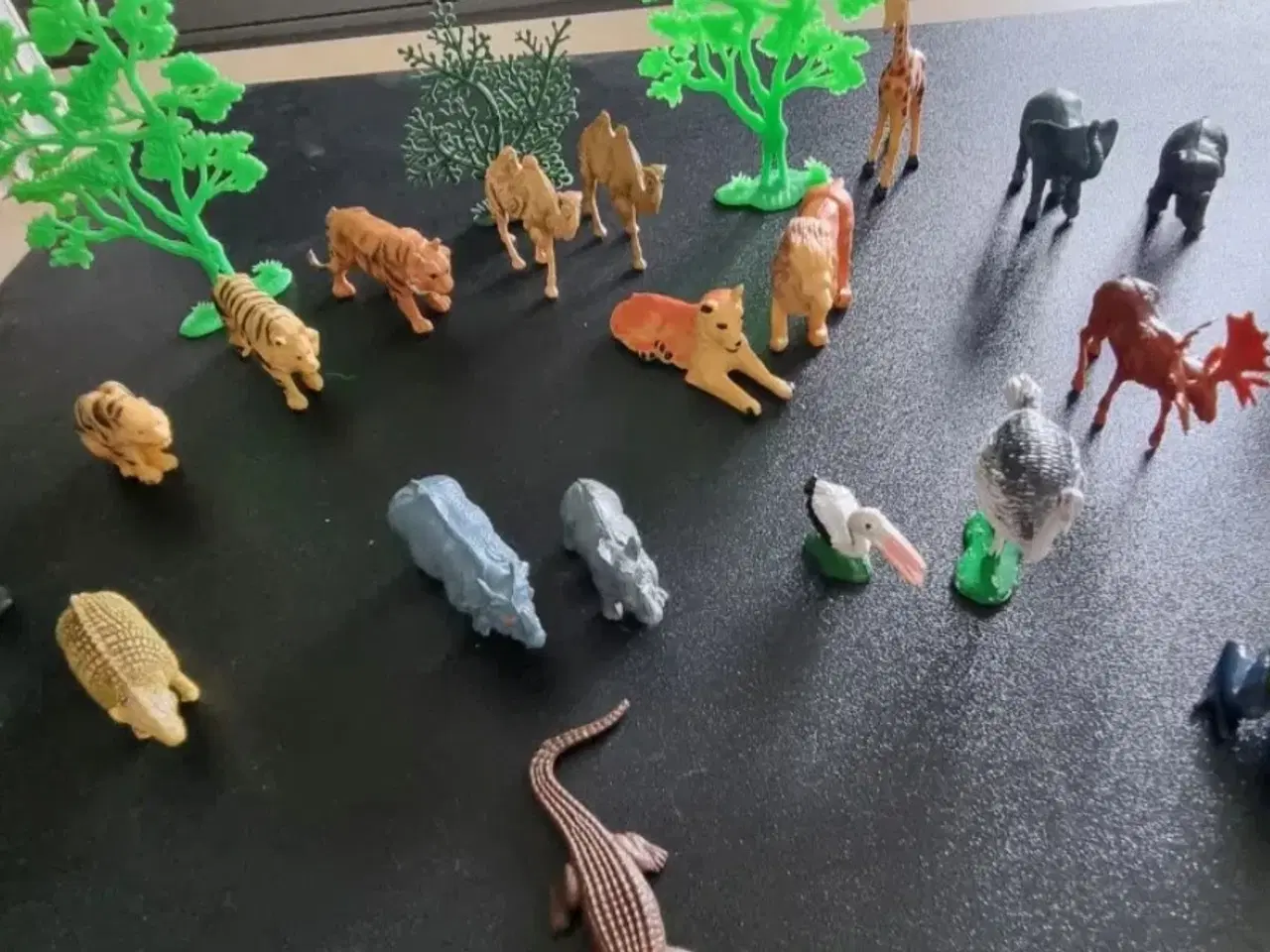 Billede 2 - Vintage dyr Zoologisk Have