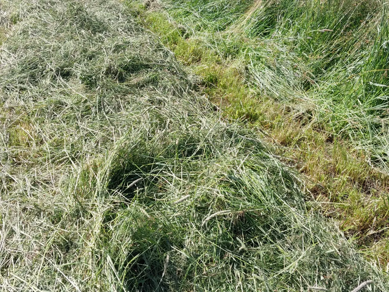 Billede 6 - Wraphø - små firkantede Morten Korch