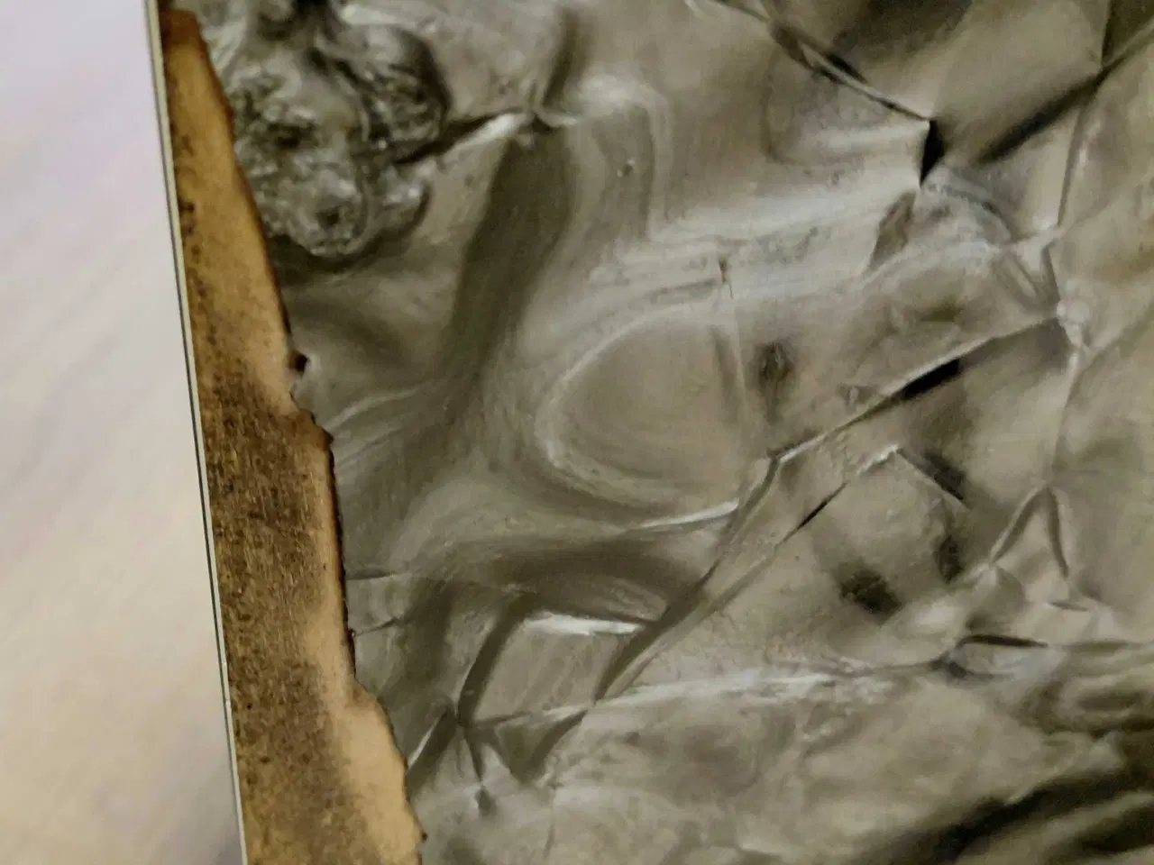 Billede 8 - Harmonika ASTRORIA