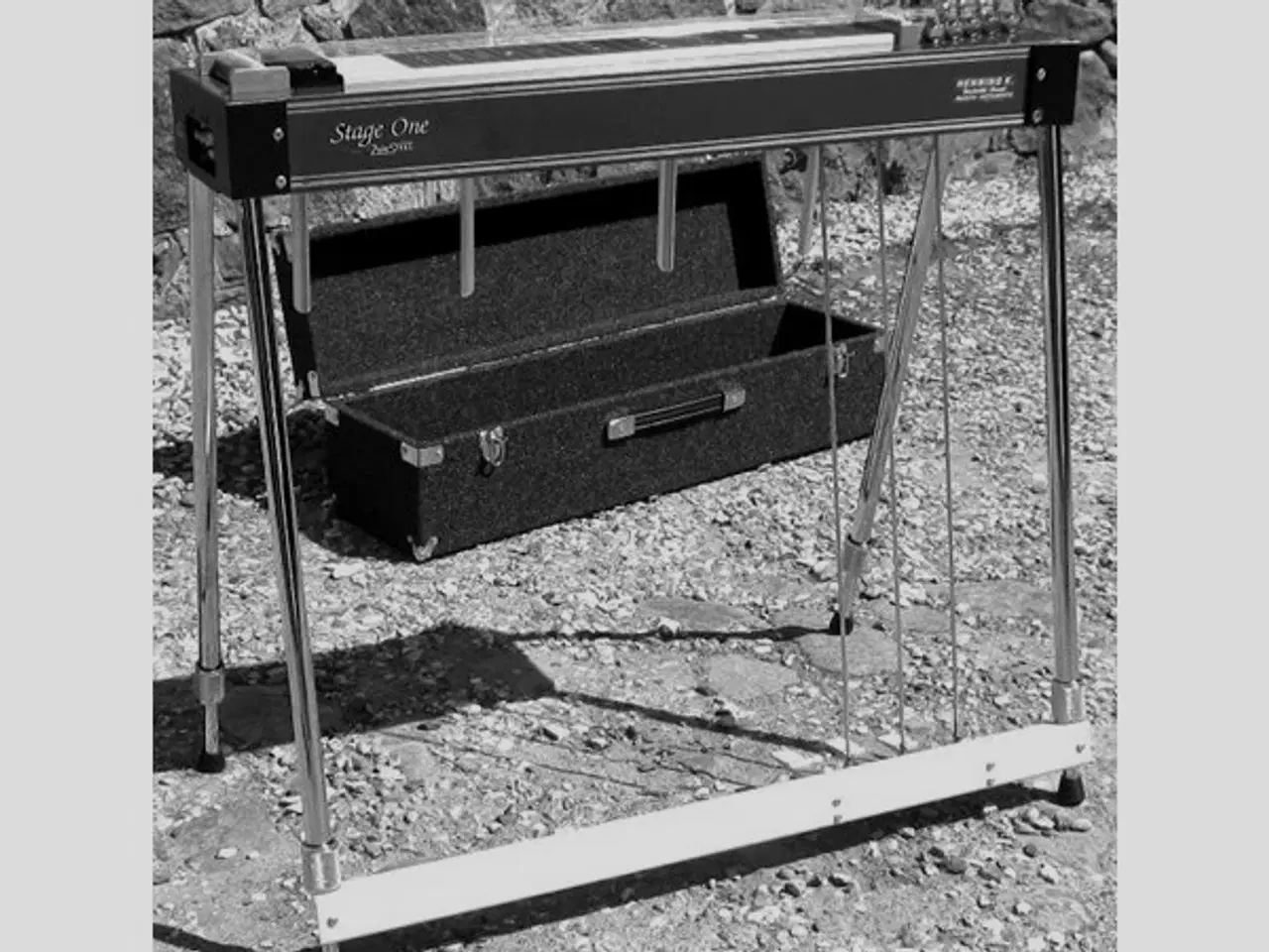 Billede 2 - Pedal Steel Guitar