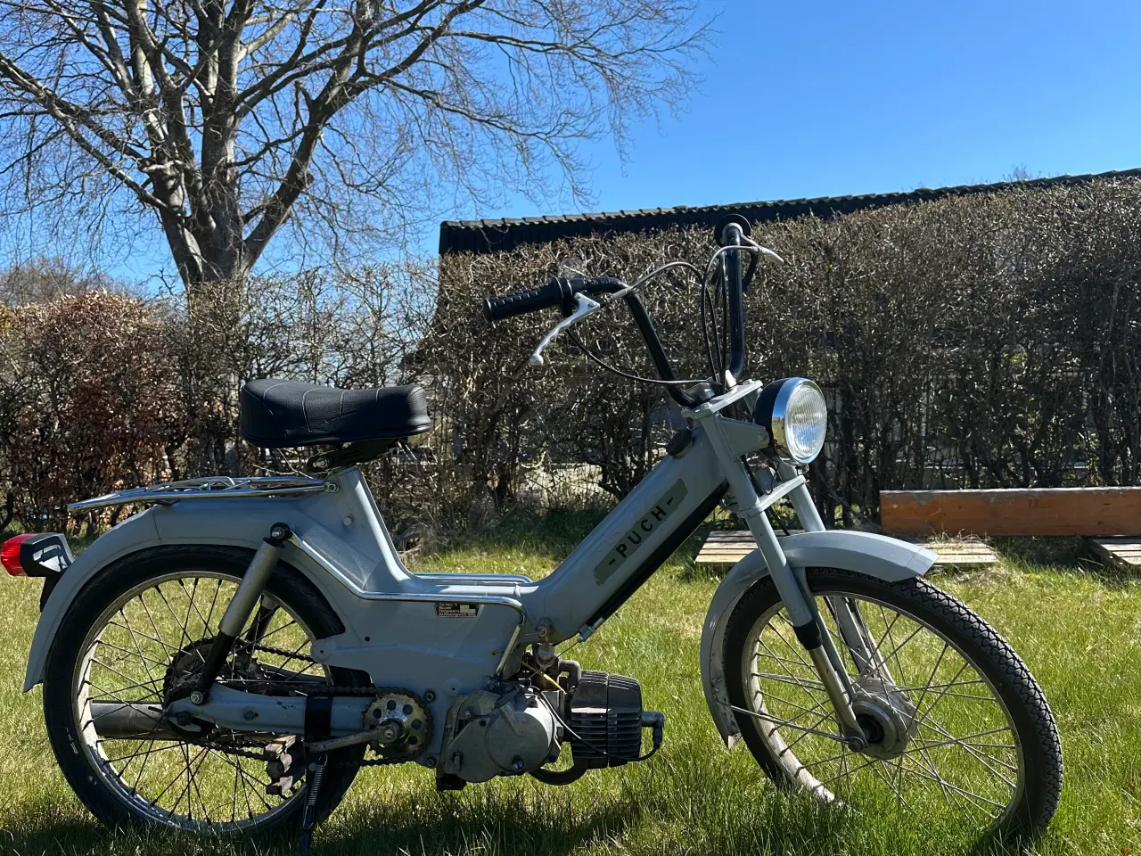 Billede 3 - Fin puch maxi s