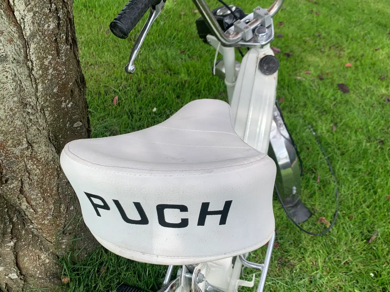 Billede 2 - Puch Maxi stel